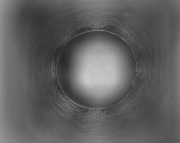 X0000074280866200608251316