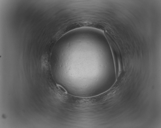 X0000074280867200608251316