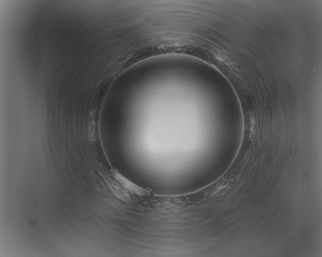 X0000074280868200608251316