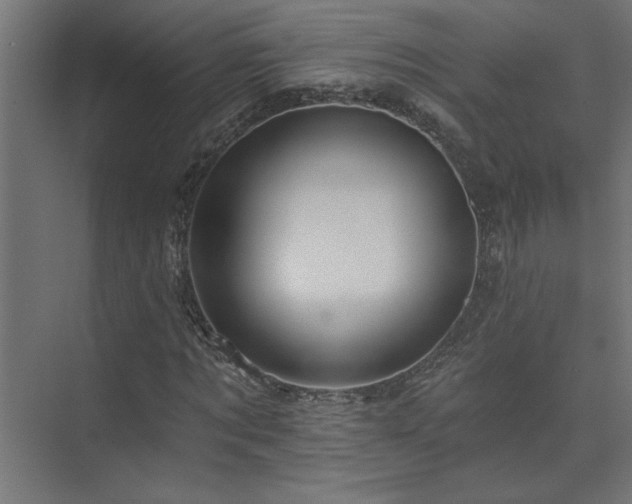 X0000074280869200608251316