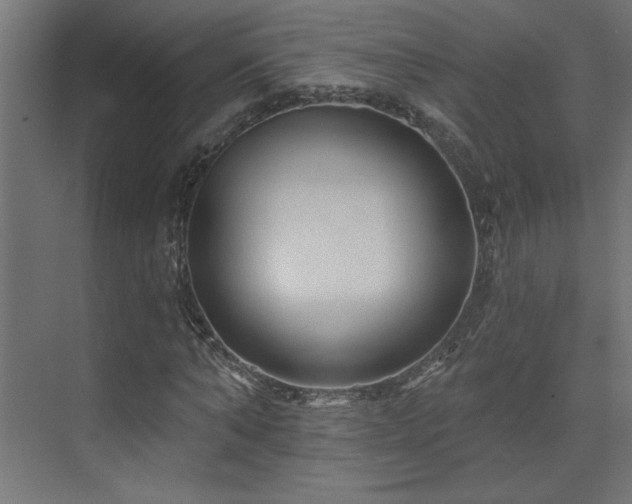 X0000074280870200608251316