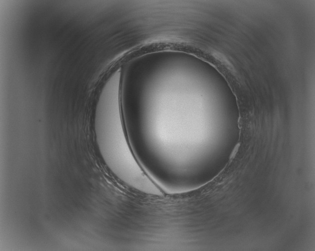 X0000074280872200608251315