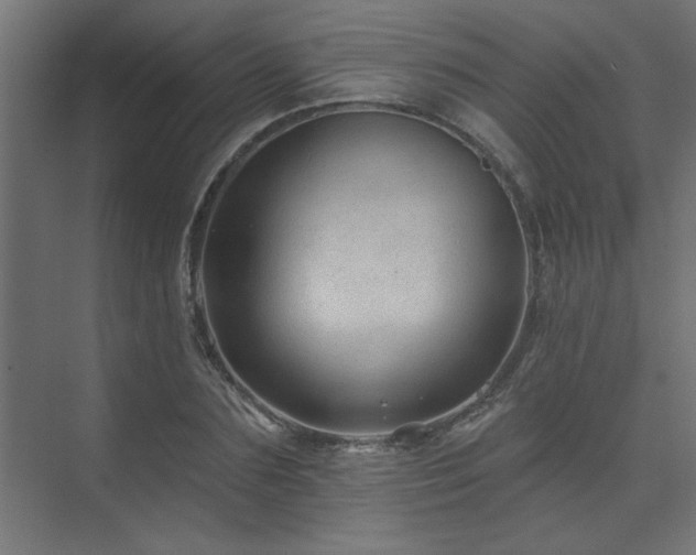 X0000074280883200608251315