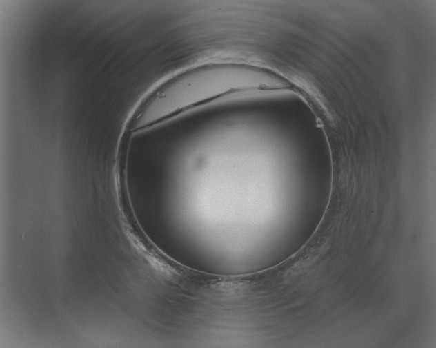 X0000074280888200608251315