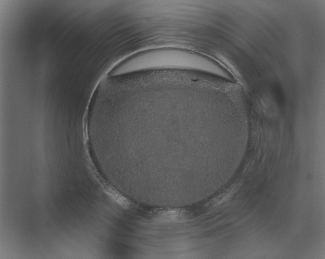 X0000074280891200608251315