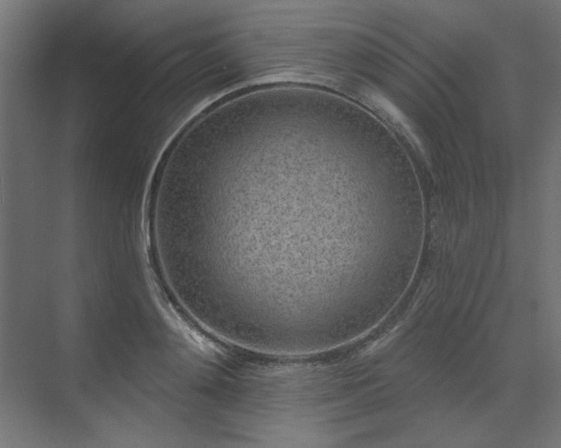 X0000074280892200608251315