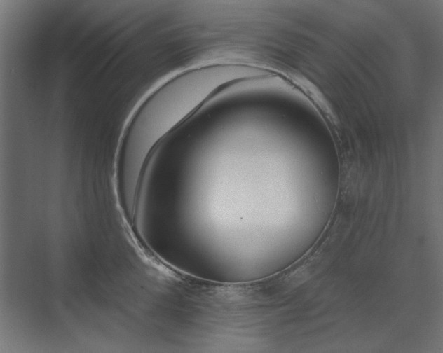 X0000074280904200608251315