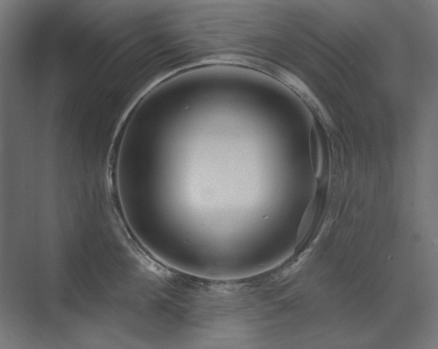 X0000074280908200608251315
