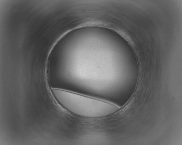 X0000074280912200608251315
