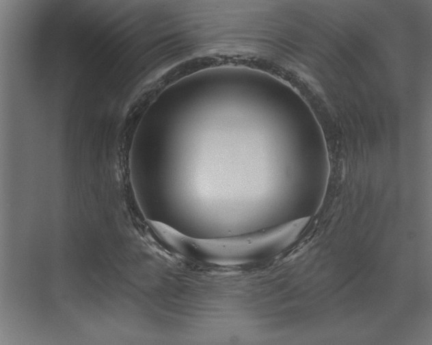 X0000074280920200608251314