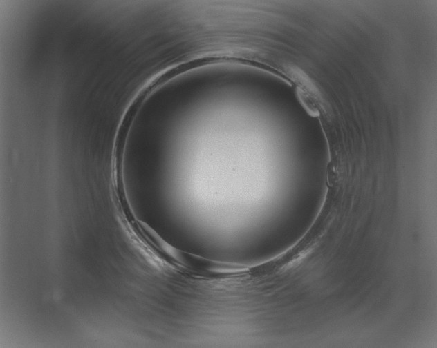 X0000074280940200608251314
