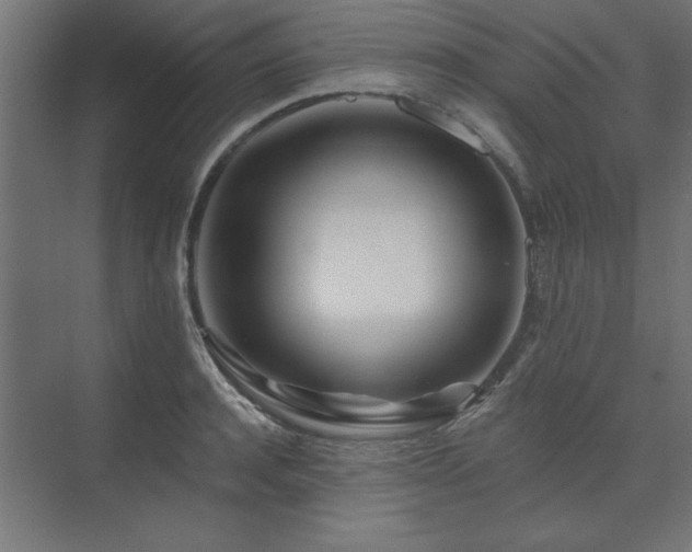 X0000074280944200608251315