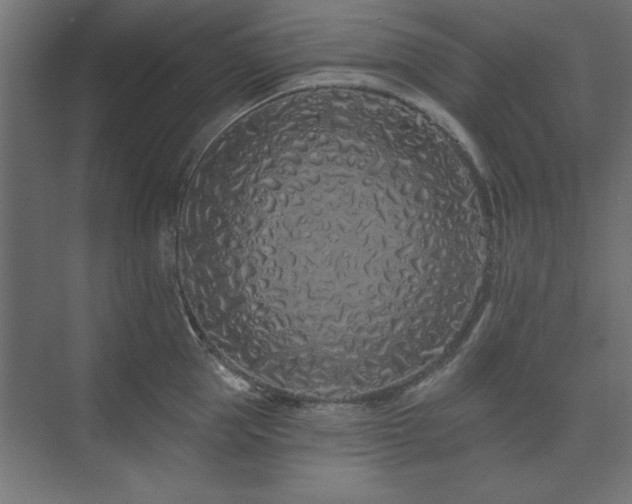 X0000074280953200608251315
