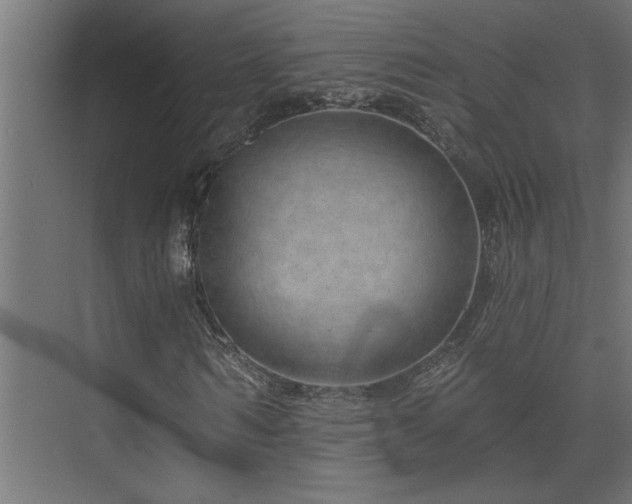 X0000074280962200608251314
