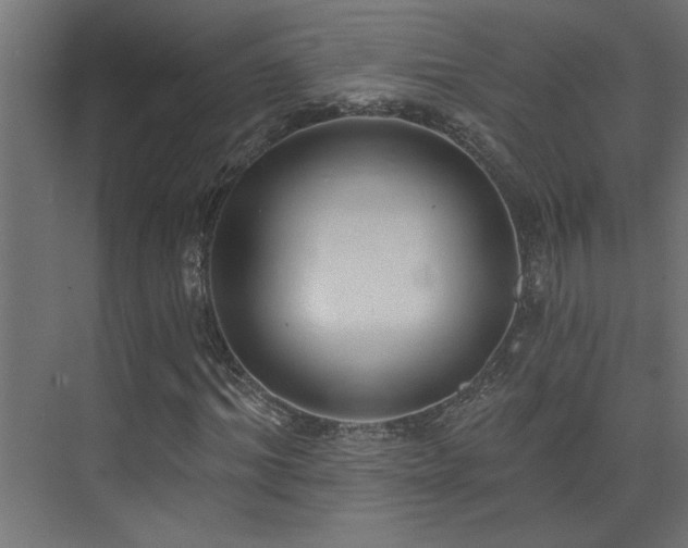 X0000074280964200608251314