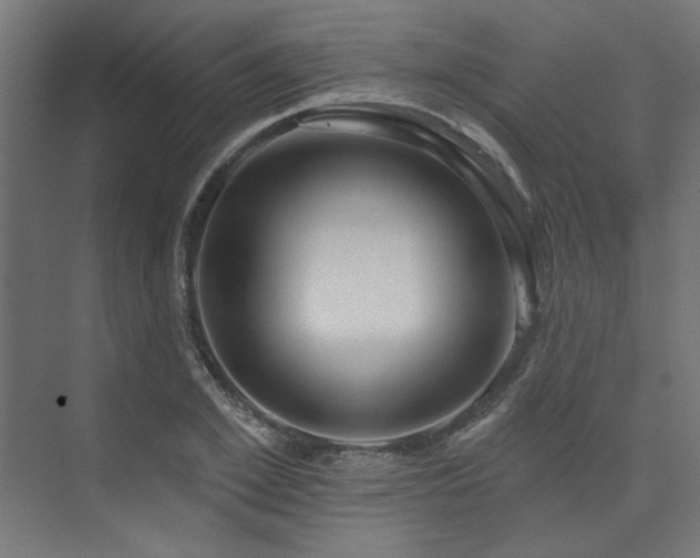 X0000074280981200608251314