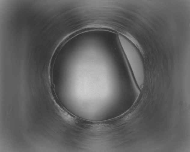 X0000074280988200608251314