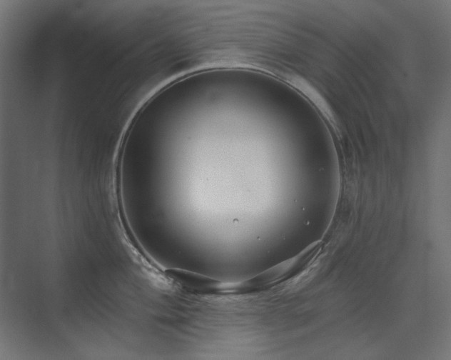 X0000074281004200608251313
