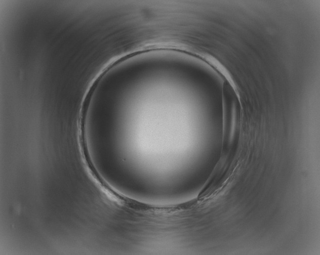 X0000074281005200608251313