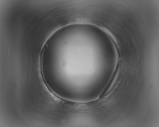 X0000074281006200608251313