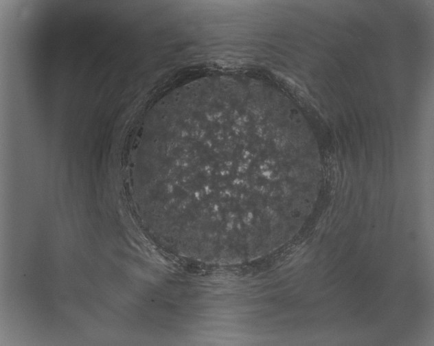 X0000074281009200608251312