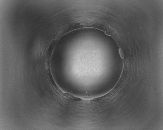 X0000074281012200608251312
