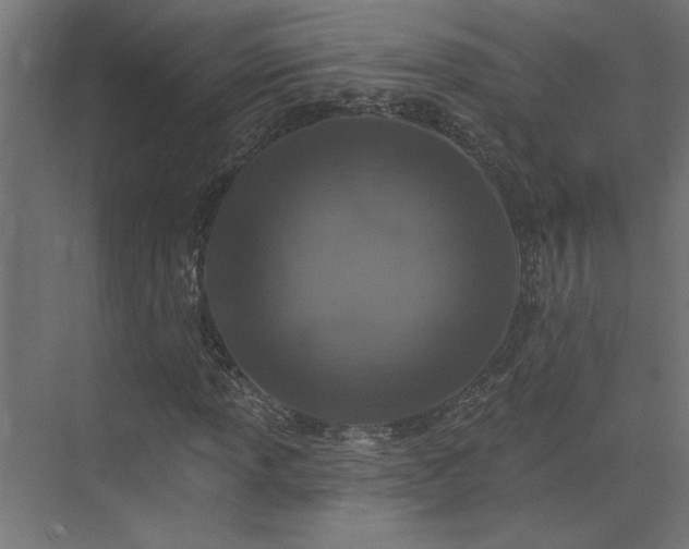 X0000074281013200608251312