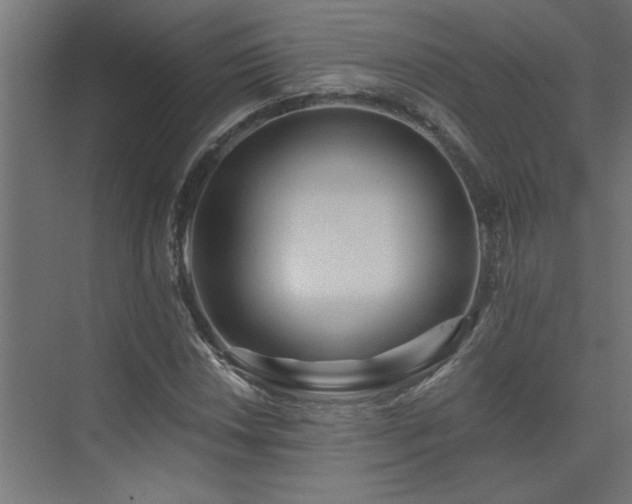 X0000074281018200608251313