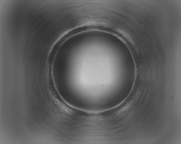 X0000074281021200608251313