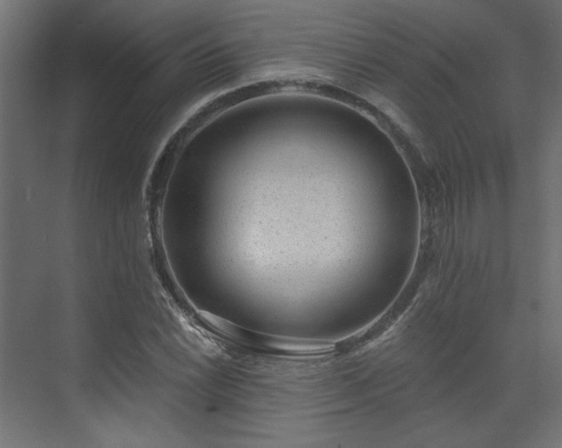 X0000074281022200608251313