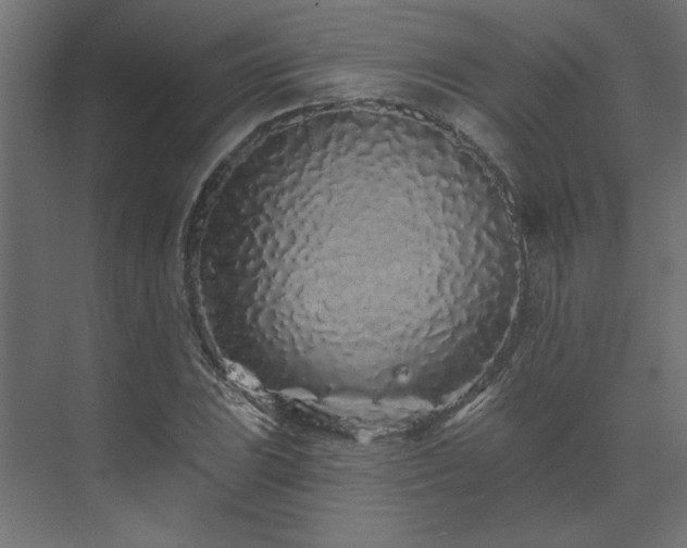 X0000074281023200608251313