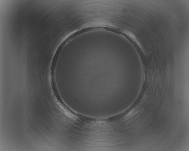 X0000074281024200608251313