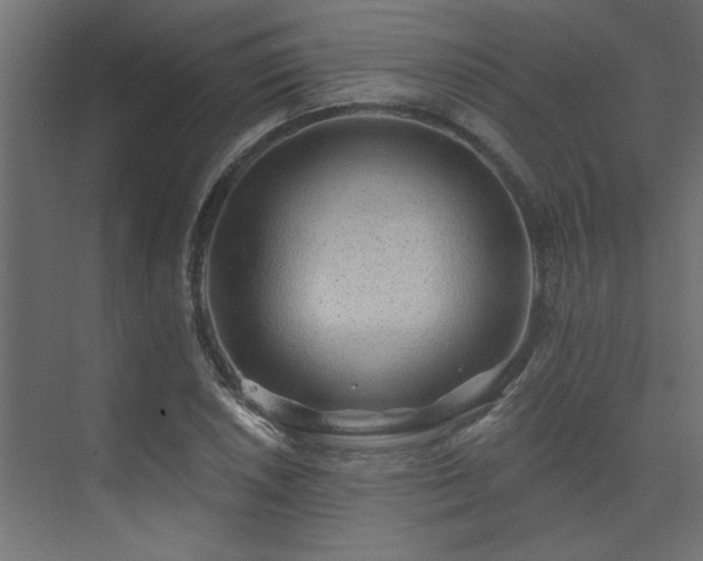 X0000074281026200608251313