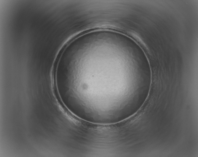 X0000074281032200608251313