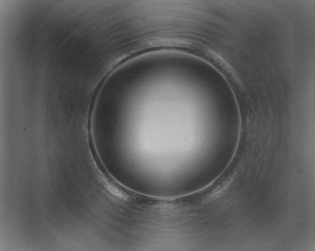 X0000074281033200608251313