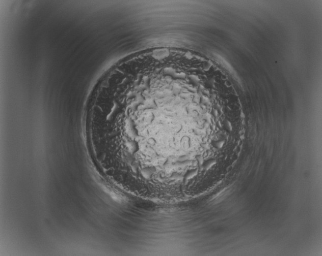 X0000074281035200608251313