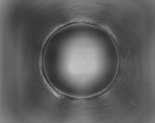X0000074281040200608251313