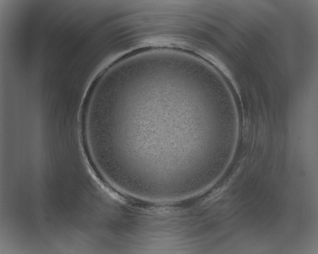 X0000074281045200608251313