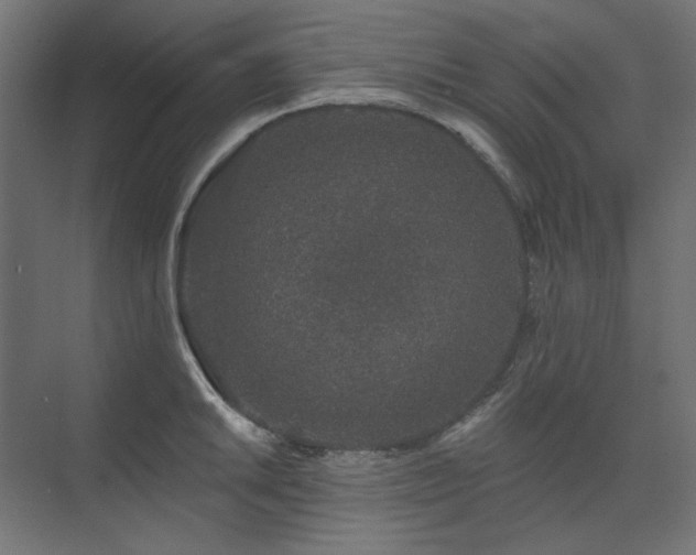 X0000074281046200608251313
