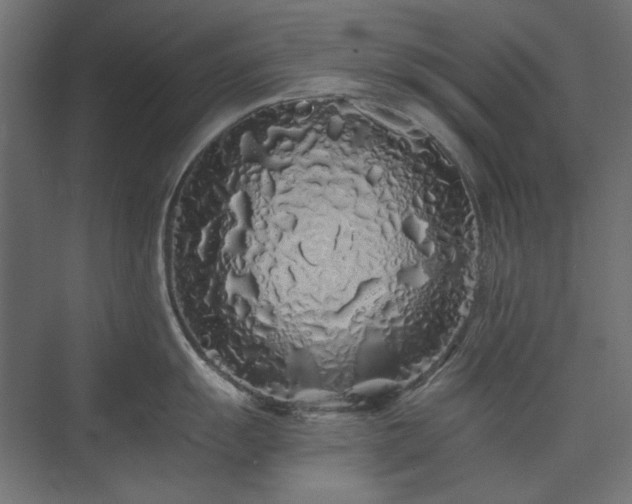 X0000074281055200608251313