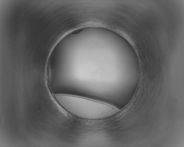 X0000074281056200608251313