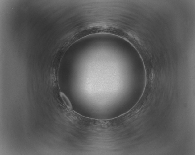 X0000074281062200608251312