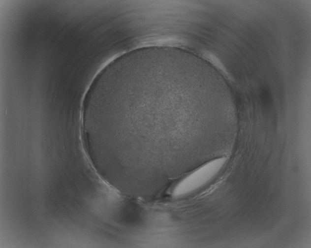 X0000074281079200608251312