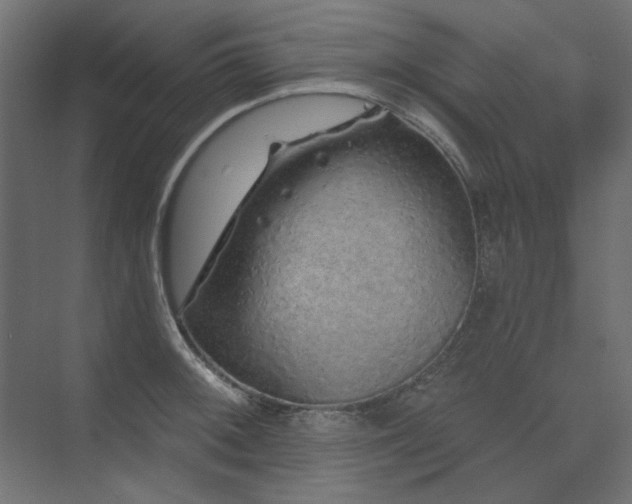 X0000074281092200608251312