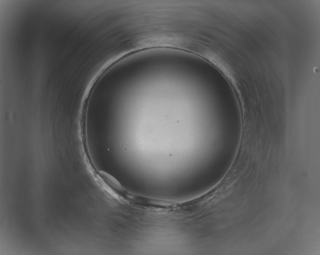 X0000074281104200608251312
