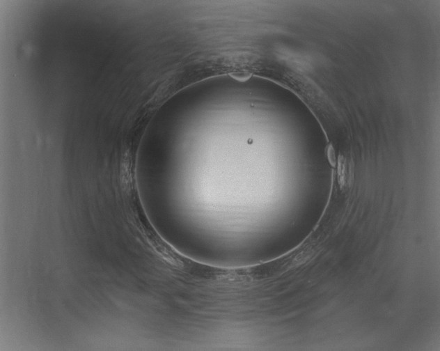 X0000074281107200608251311