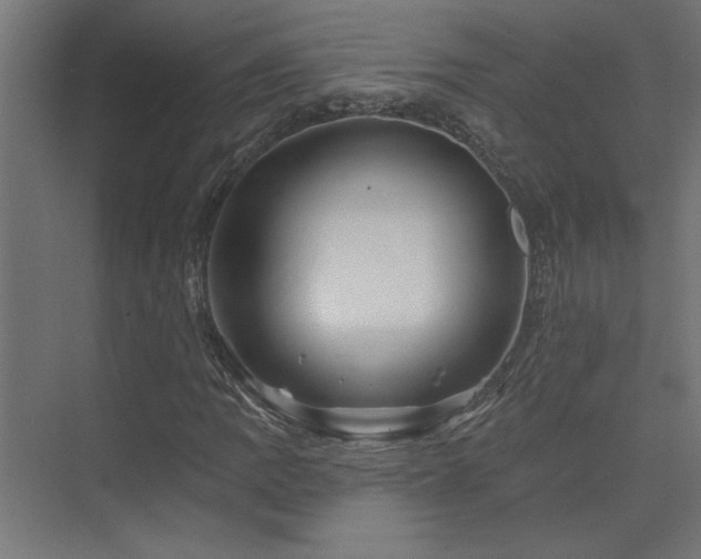 X0000074281109200608251311