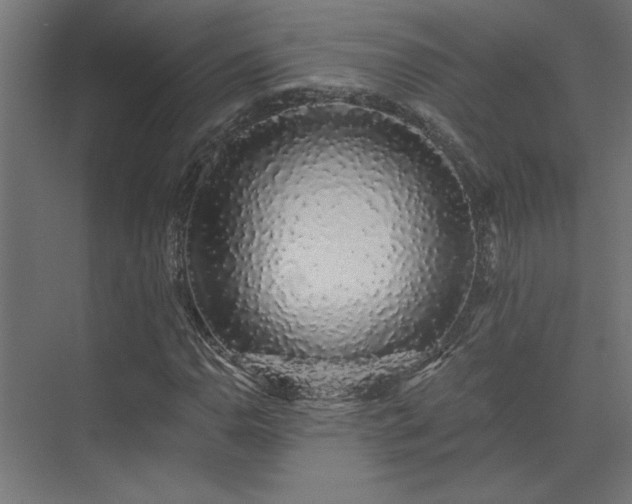 X0000074281110200608251311