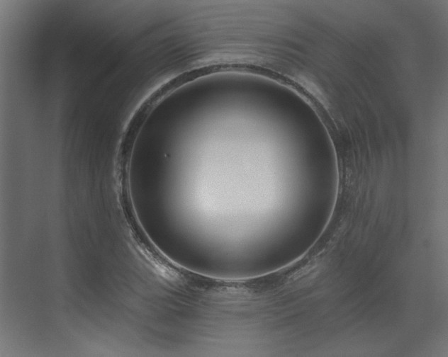 X0000074281119200608251311