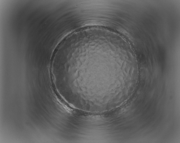 X0000074281121200608251311